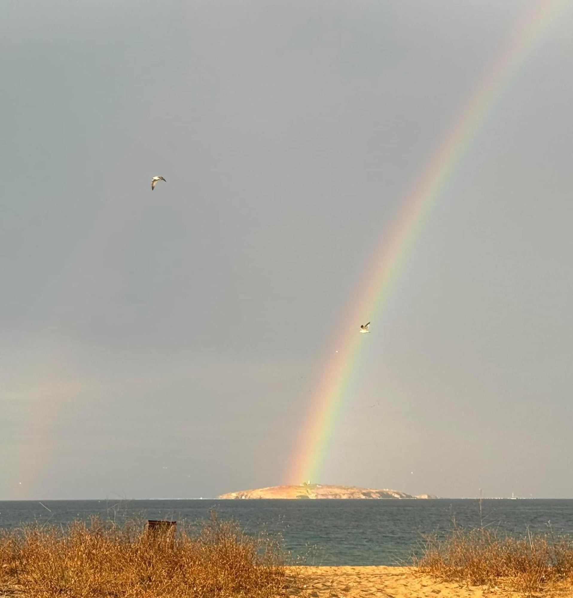 градина луксозен